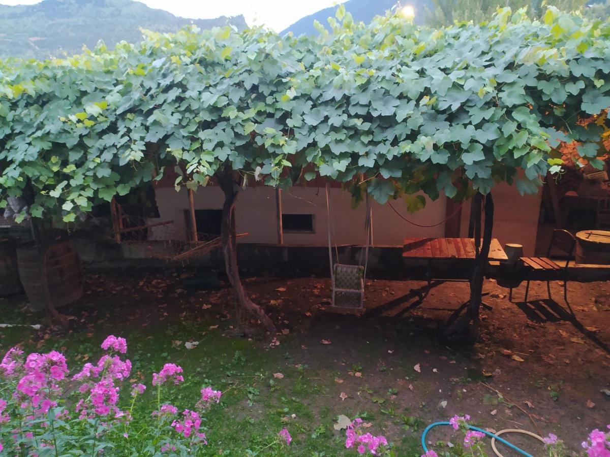Guest House Nene Mestia Dış mekan fotoğraf